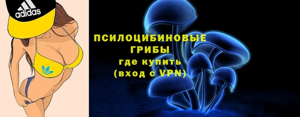 эйфоретик Аркадак